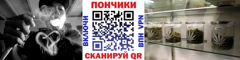 Где продают наркотики Северск Кокаин  БУТИРАТ  ГАШИШ  Амфетамин  Галлюциногенные грибы  Канабис  Мефедрон  Alpha-PVP 