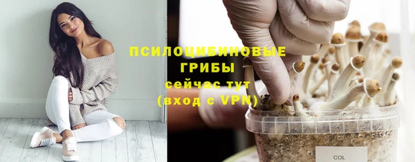 метамфетамин Богородицк