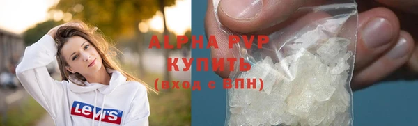 гашик Нефтекумск
