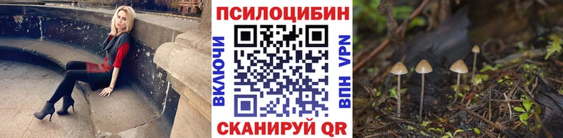Галлюциногенные грибы Psilocybine cubensis  KRAKEN сайт  Северск  закладки 