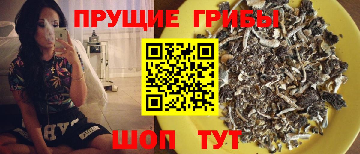 Галлюциногенные грибы MAGIC MUSHROOMS Северск