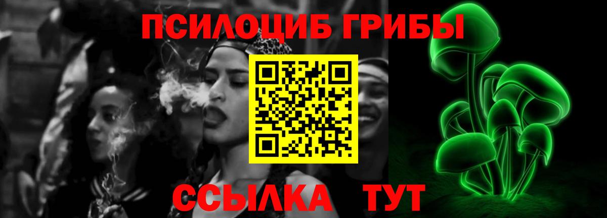 Псилоцибиновые грибы мицелий  Вход с VPN  Северск 